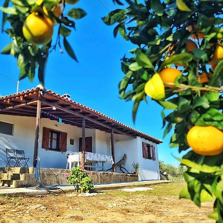 Anastasios House Daire Koróni Dış mekan fotoğraf