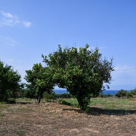 Anastasios House Daire Koróni Dış mekan fotoğraf