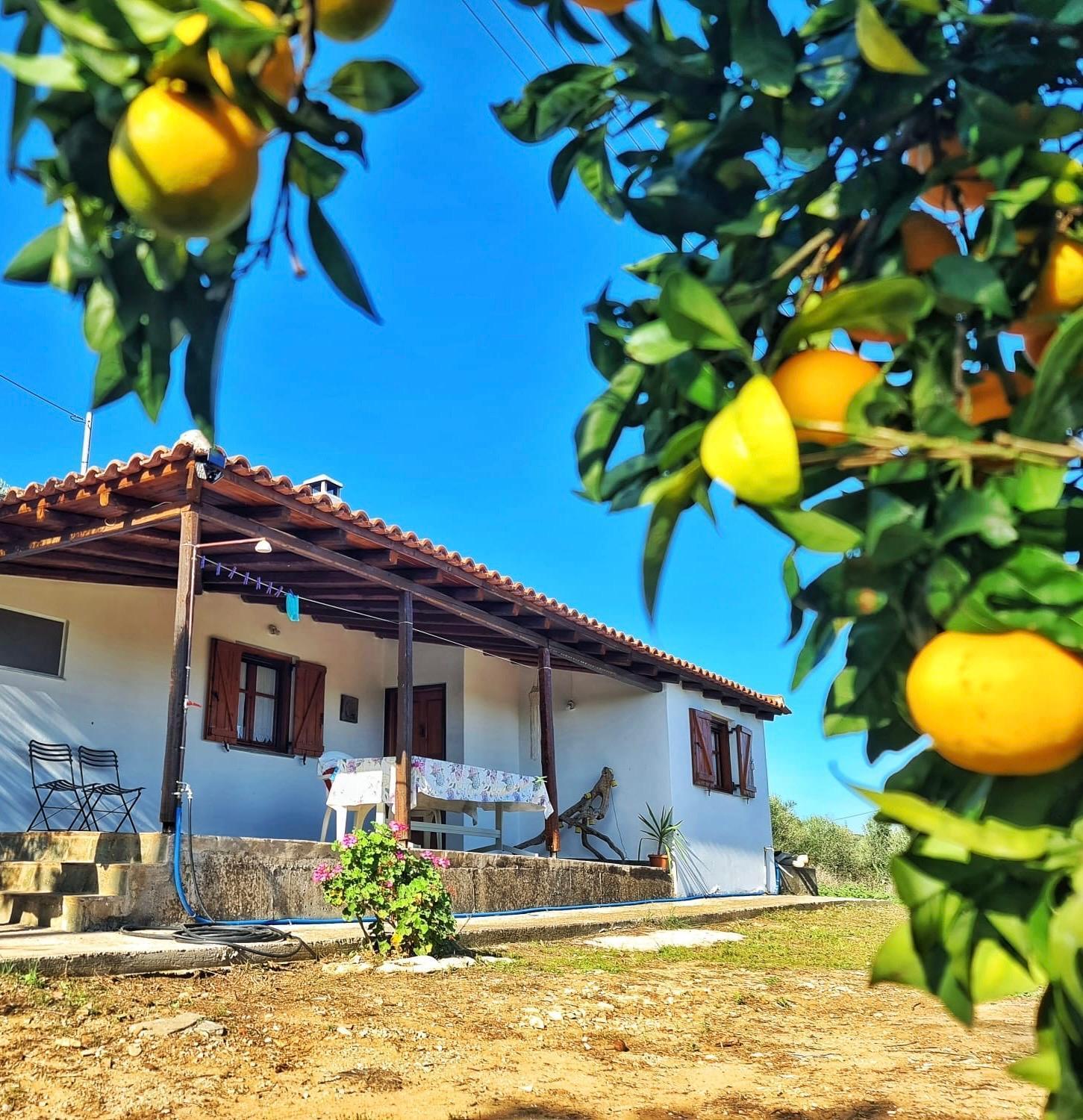 Anastasios House Daire Koróni Dış mekan fotoğraf