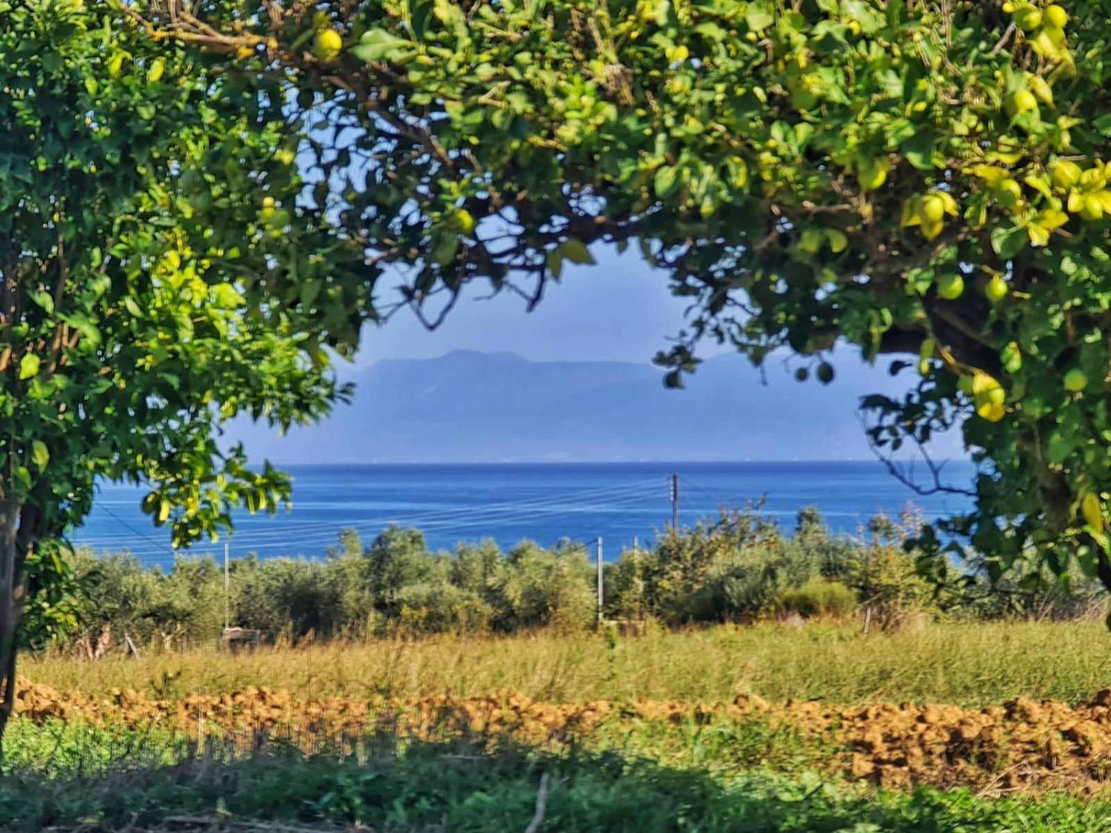 Anastasios House Daire Koróni Dış mekan fotoğraf